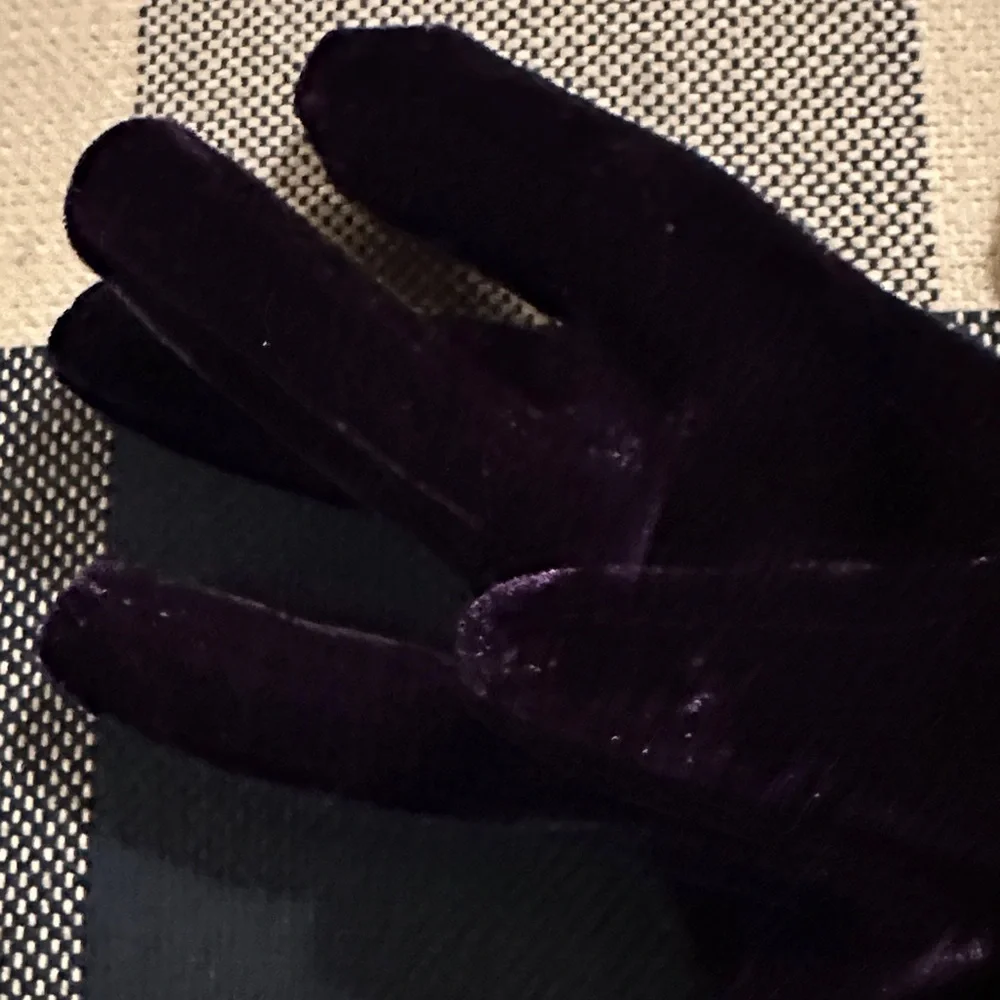 Velvet Opera Gloves in Plum